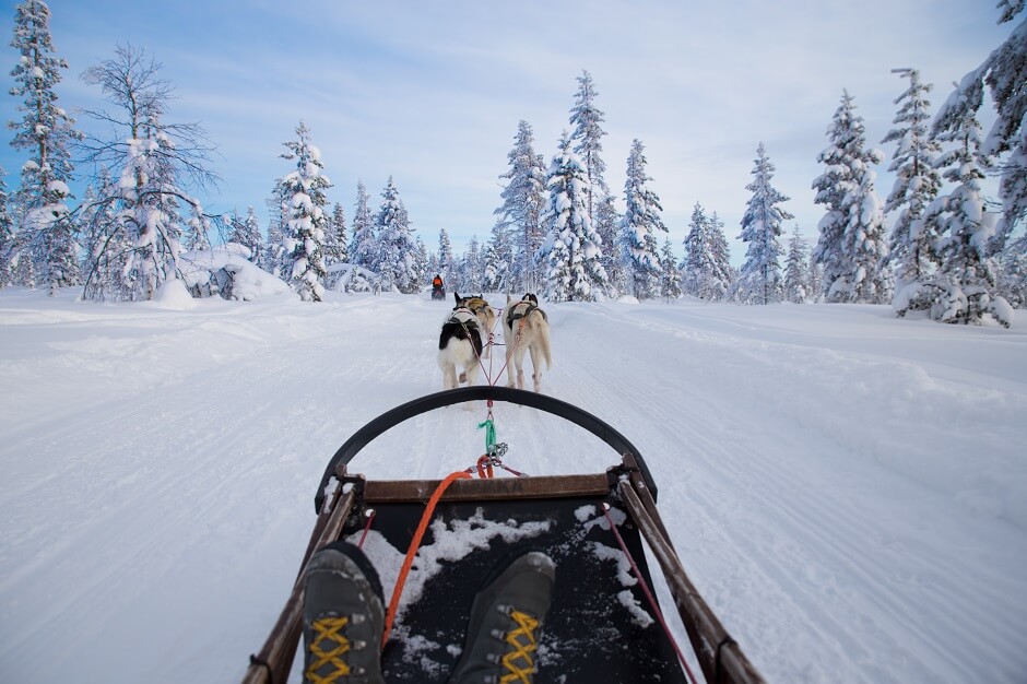 Virtual Tour of The Dog Sledding, Abisko, Sweden